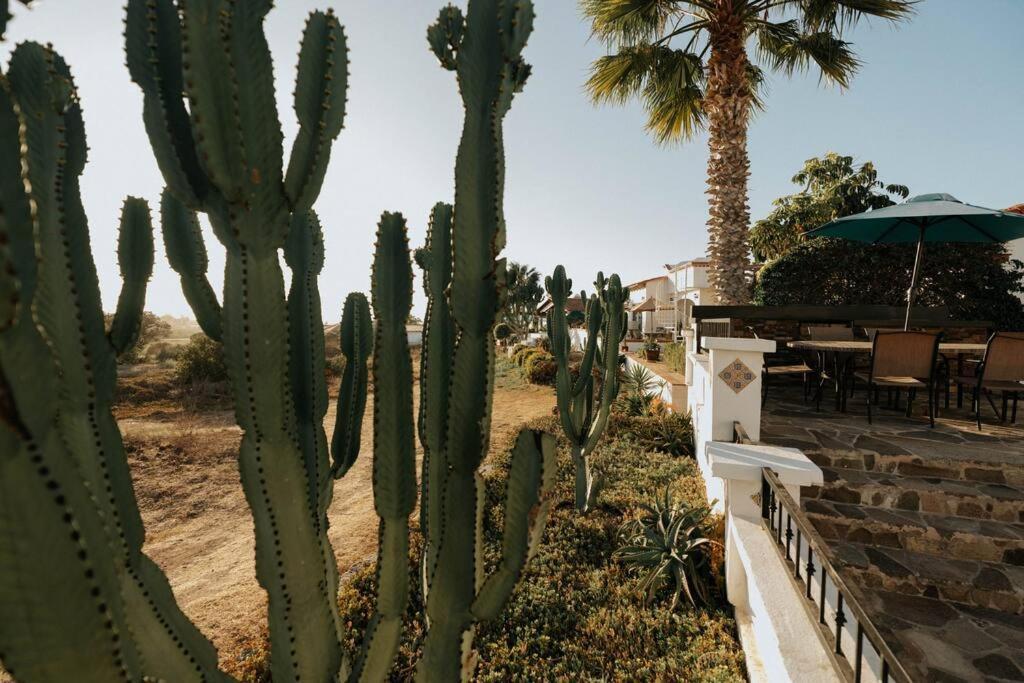 Bajamar Golf View & Access Home Ensenada Exterior photo